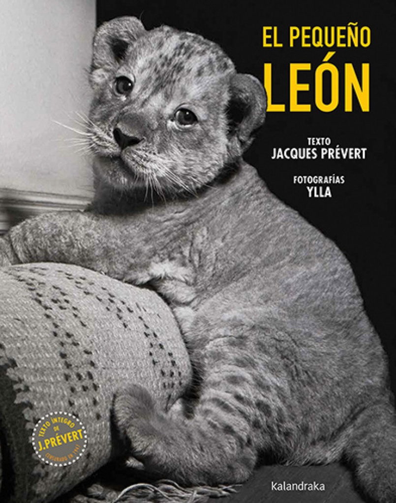 El pequeño león