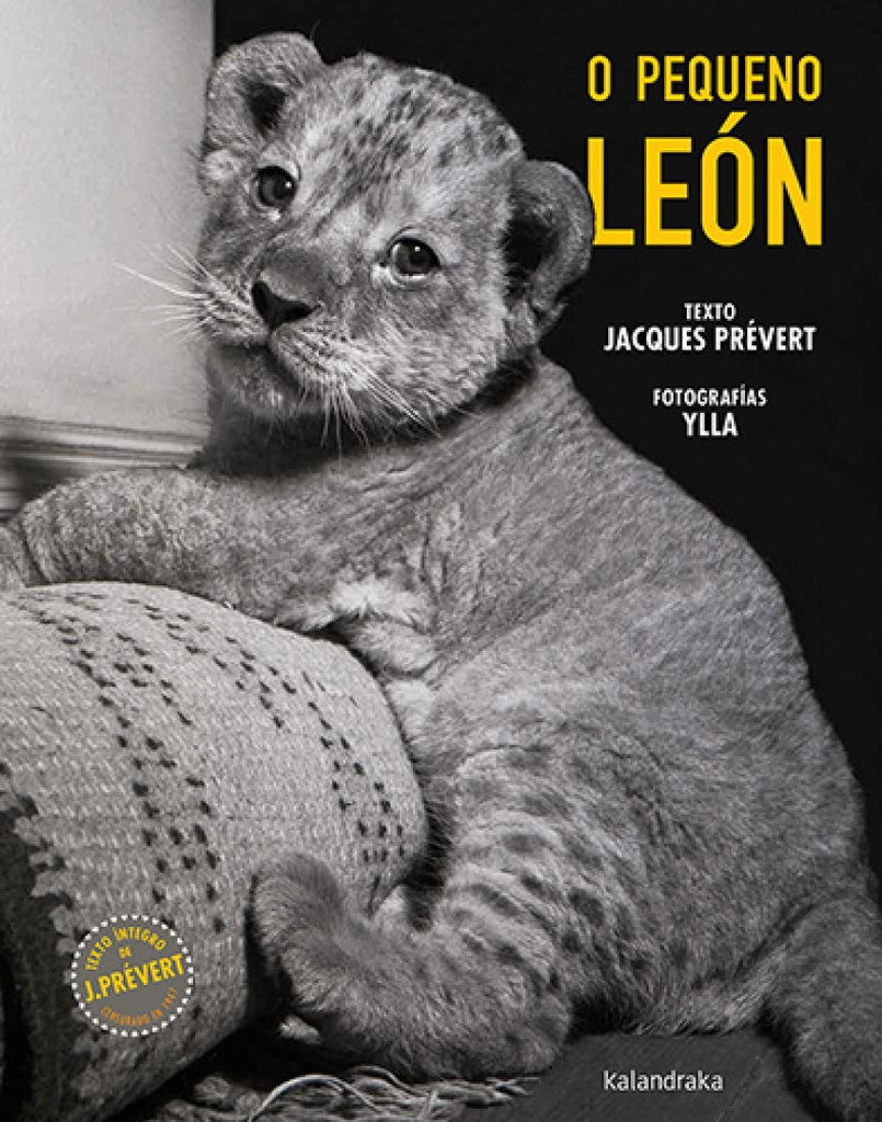 O pequeno león