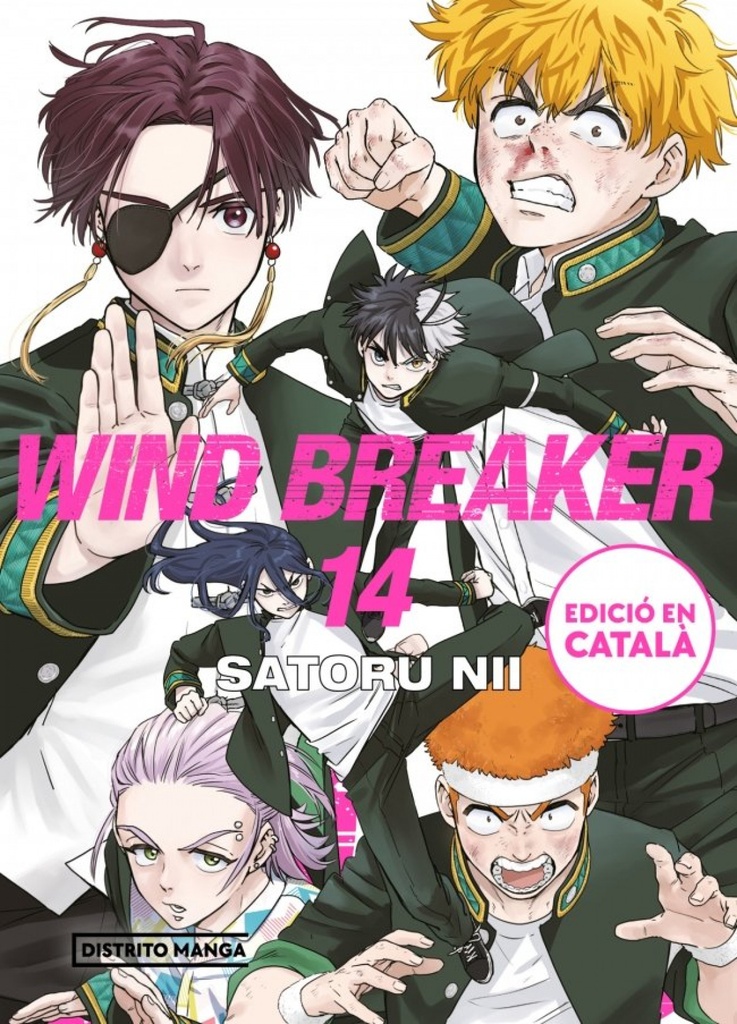 Wind Breaker (edició en català) 14