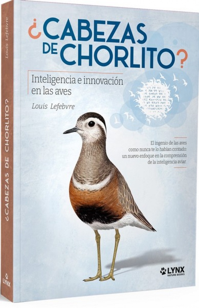 ¿Cabezas de chorlito?