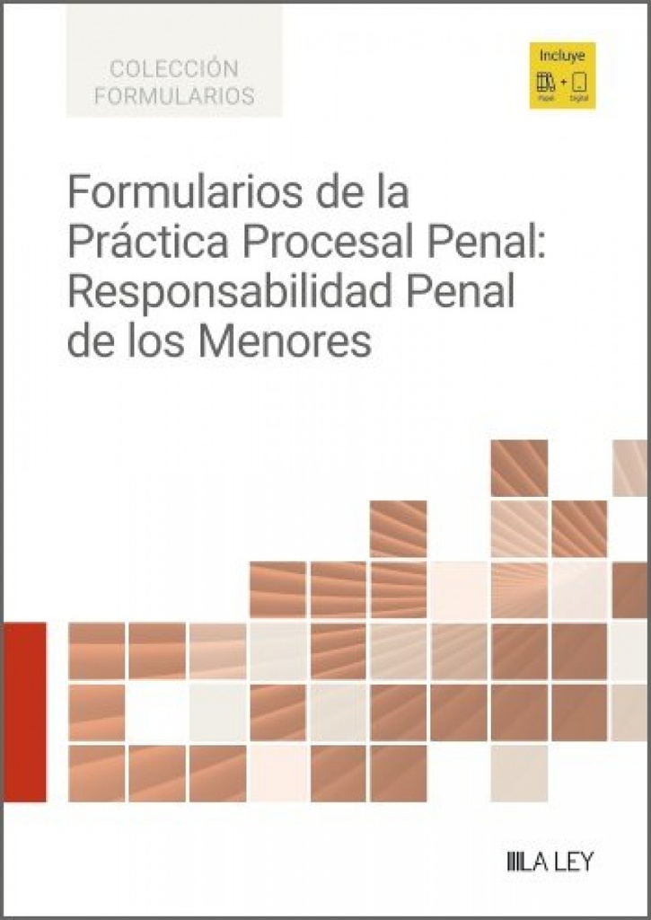 FORMULARIOS DE LA PRACTICA PROCESAL PENAL: RESPONSABILDIAD PENAL DE LOS MENORES