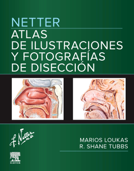 Netter:atlas companion con fotografias de cadaver