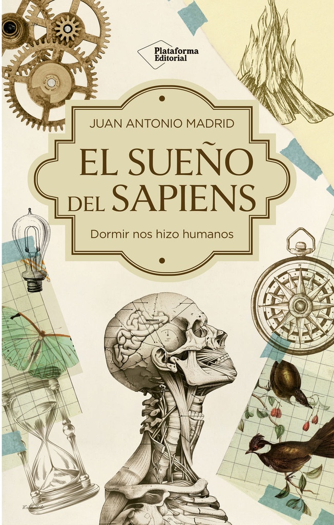 El sueño del Sapiens