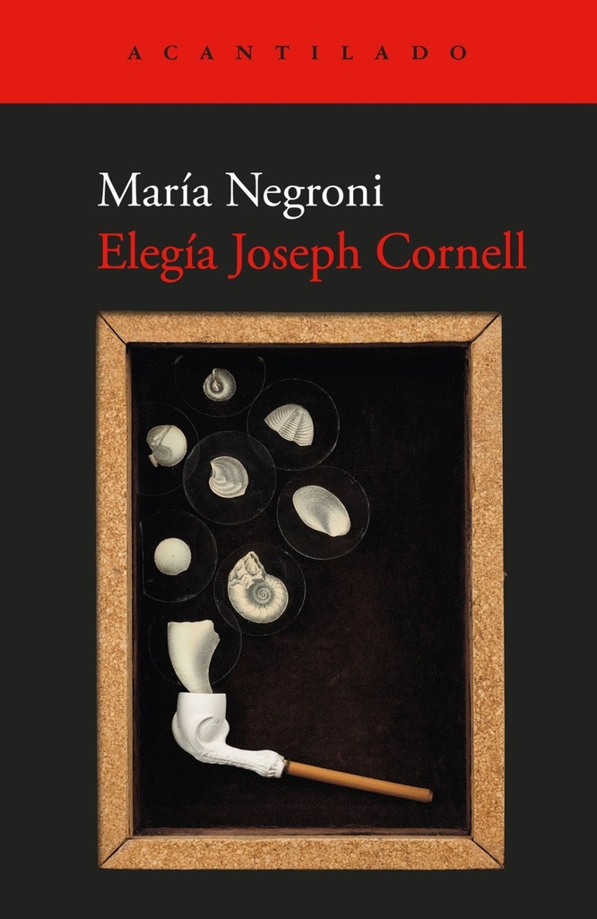 Elegía Joseph Cornell