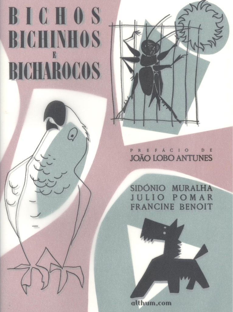 Bichos, bichinhos e bicharocos