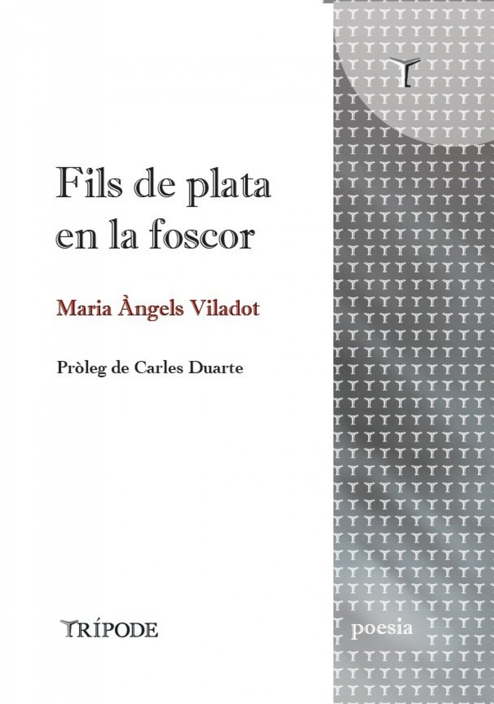 Fils de plata en la foscor