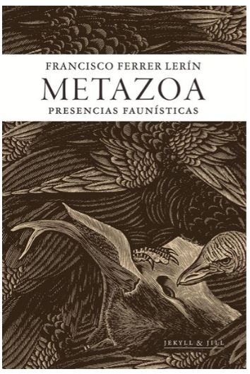 METAZOA