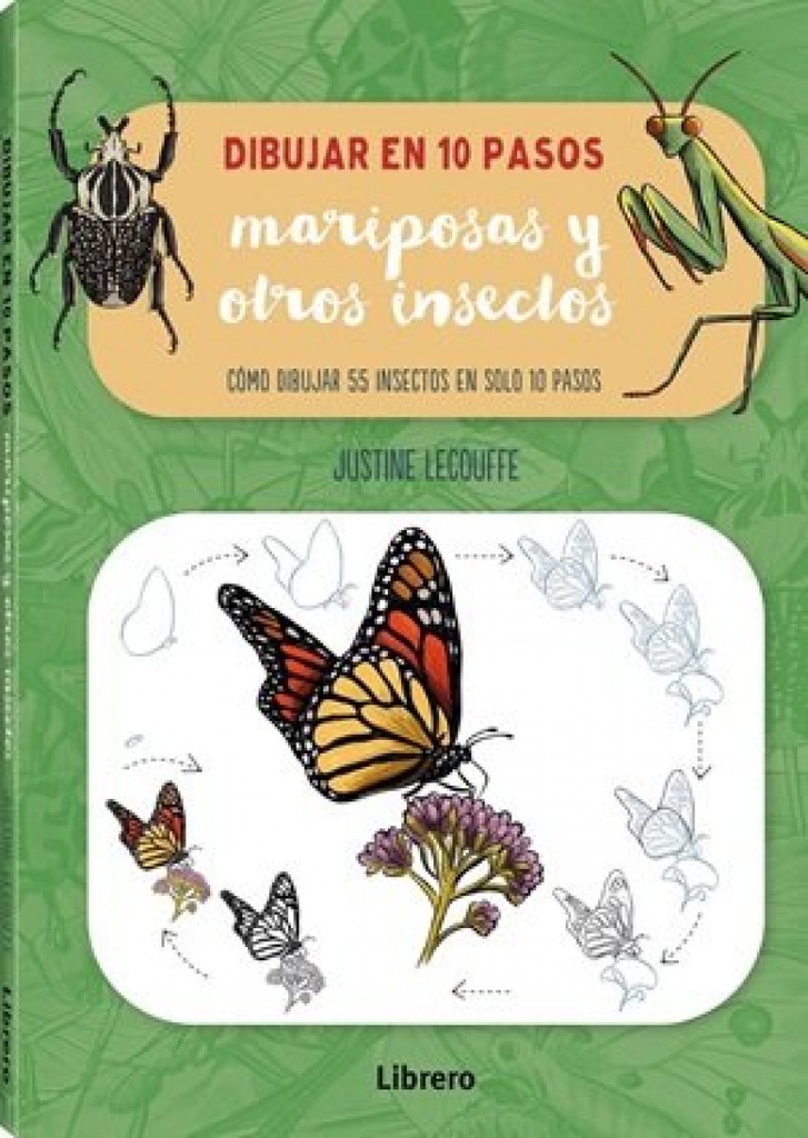 DIBUJAR MARIPOSAS Y OTROS INSECTOS EN 10 PASOS