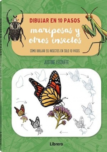 DIBUJAR MARIPOSAS Y OTROS INSECTOS EN 10 PASOS
