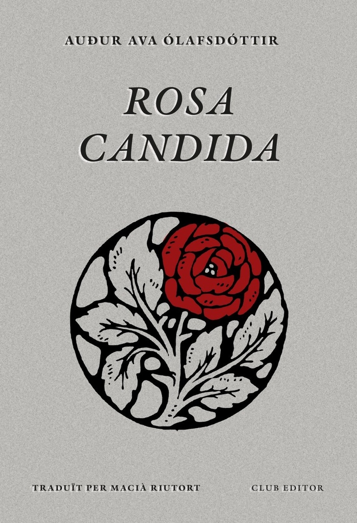 Rosa candida