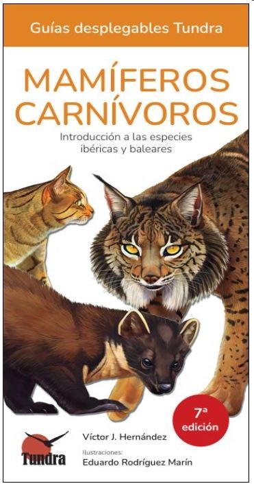 Mamíferos carnívoros