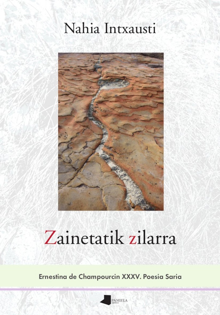 Zainetatik zilarra