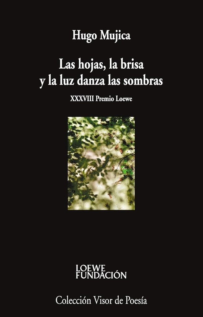 Las hojas, la brisa y la luz danza las sombras