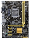 Placa Base Asus H81M-PLUS mATX LGA1150