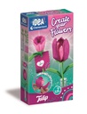 CREATE YOUR FLOWES TULIPAN