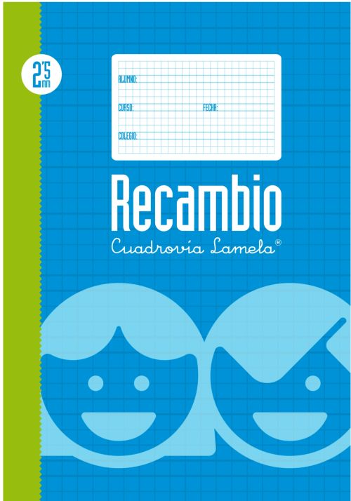 RECAMBIO Fº 100H 70G CUADROVIA 2.5MM 4 ANILLAS