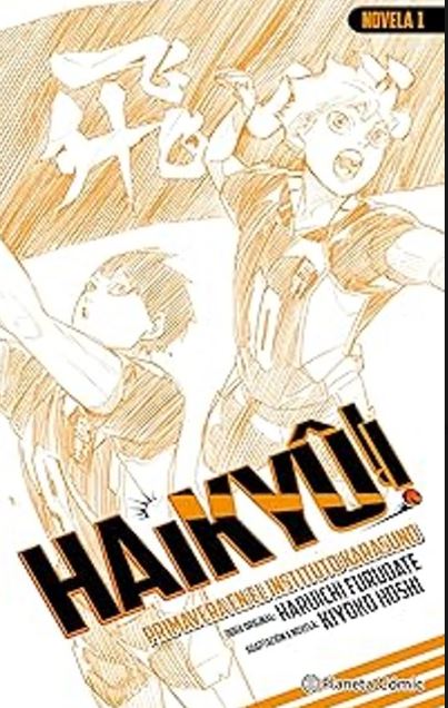 Haikyû!! (Novela) nº 01