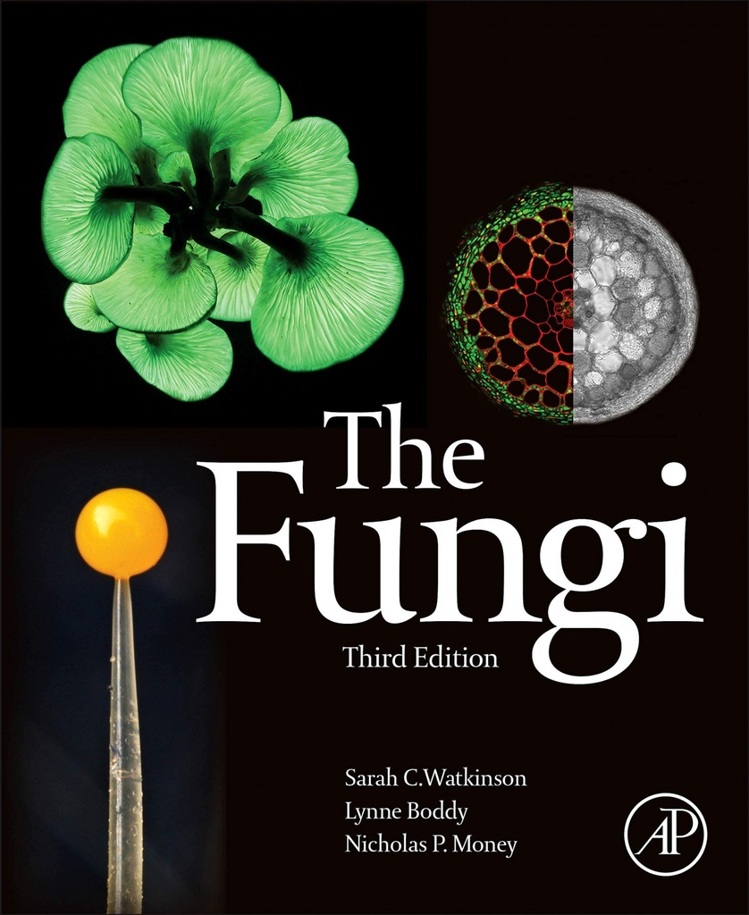 The fungi