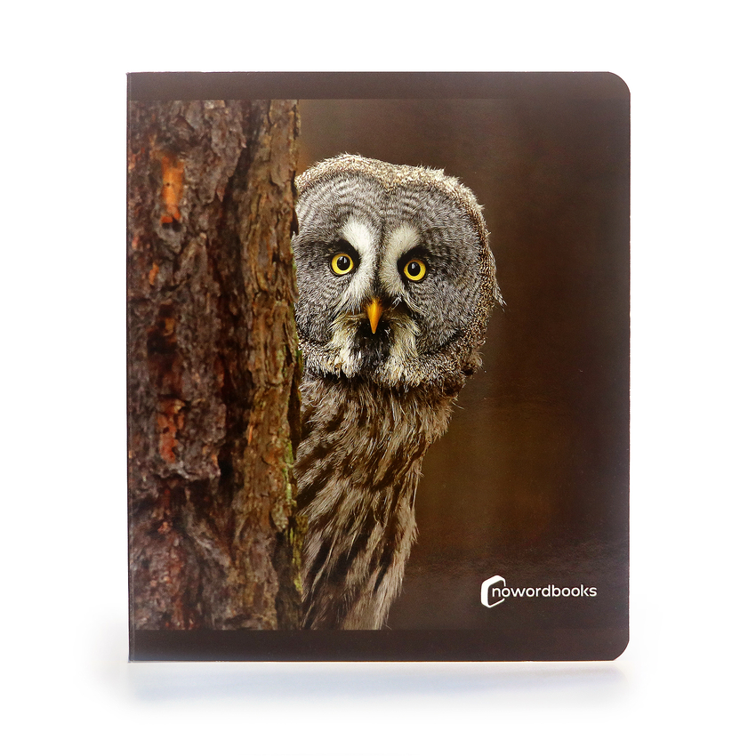 los animales del bosque