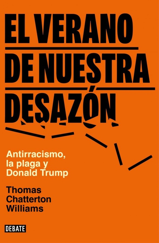 El verano de nuestra desazon