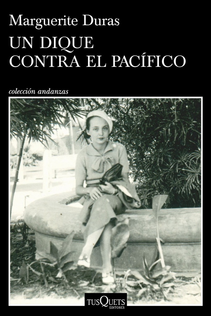 Un dique contra el Pacífico