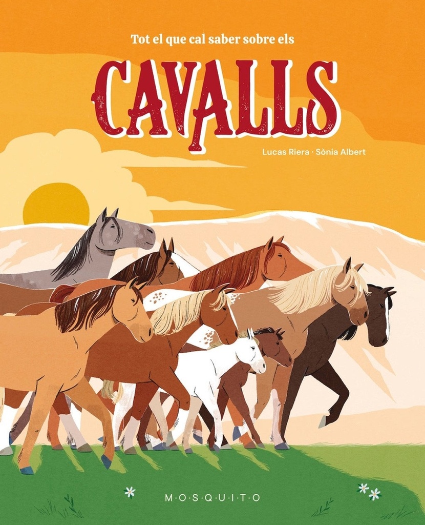 Tot el que cal saber sobre els cavalls