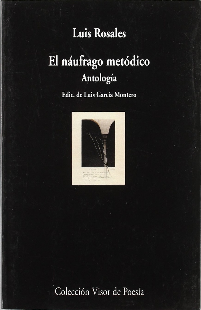 El náufrago metódico
