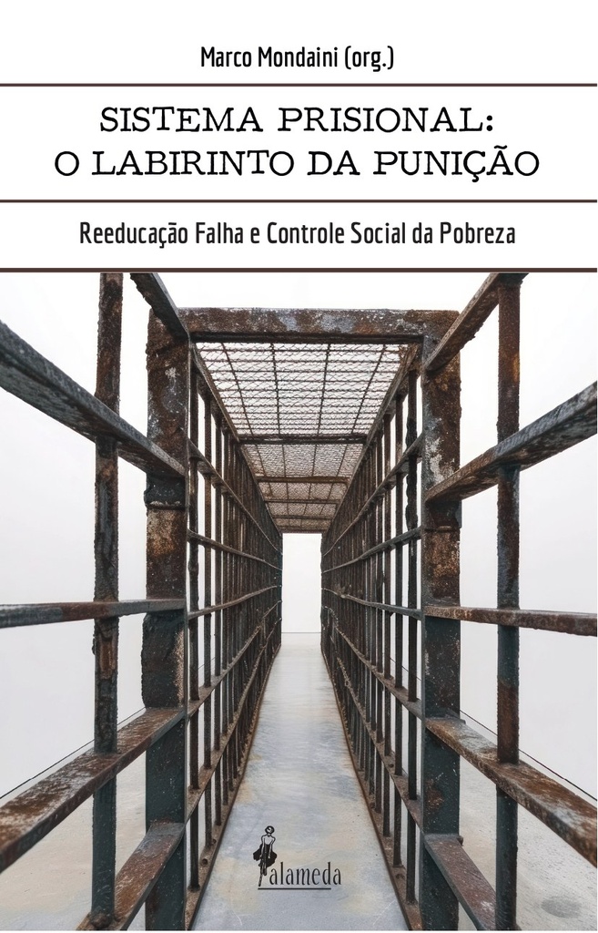 O sistema prisional: o labirinto da punição