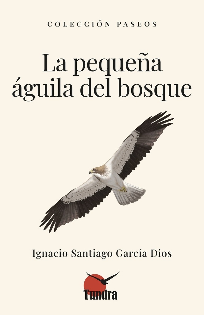 La pequeña águila del bosque