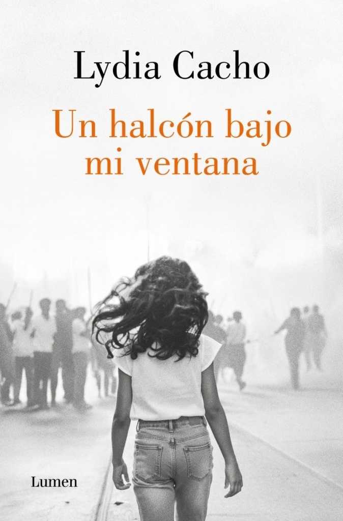 Un halcón bajo mi ventana