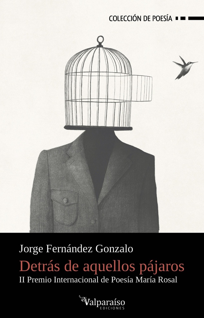 Detrás de aquellos pájaros