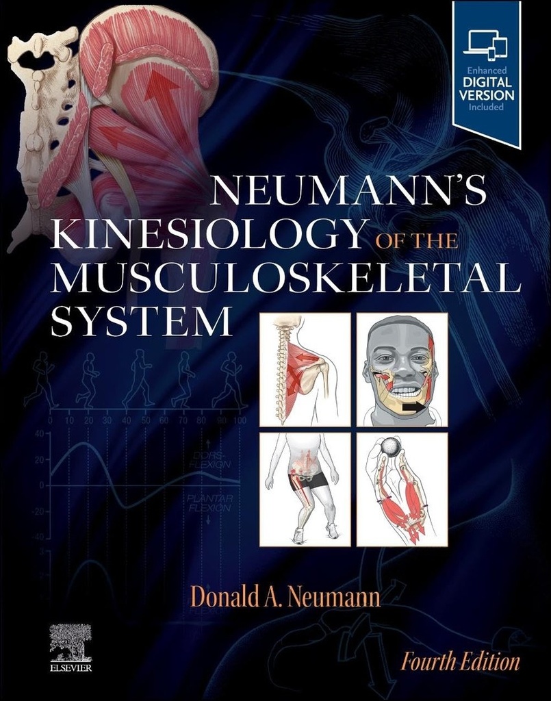 Neumann´s kinesiology of the musculoskeletal system