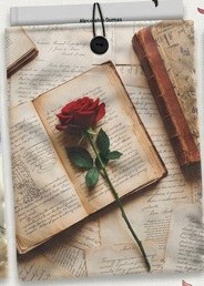 FUNDA ACOLCHADA PARA LIBROS ROSA 21X28CM