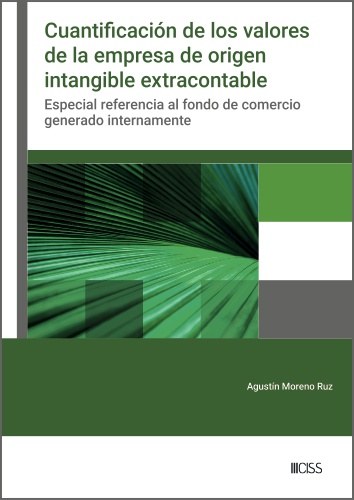 CUANTIFICACIÓN DE LOS VALORES DE LA EMPRESA DE ORIGEN INTANGIBLE EXTRA