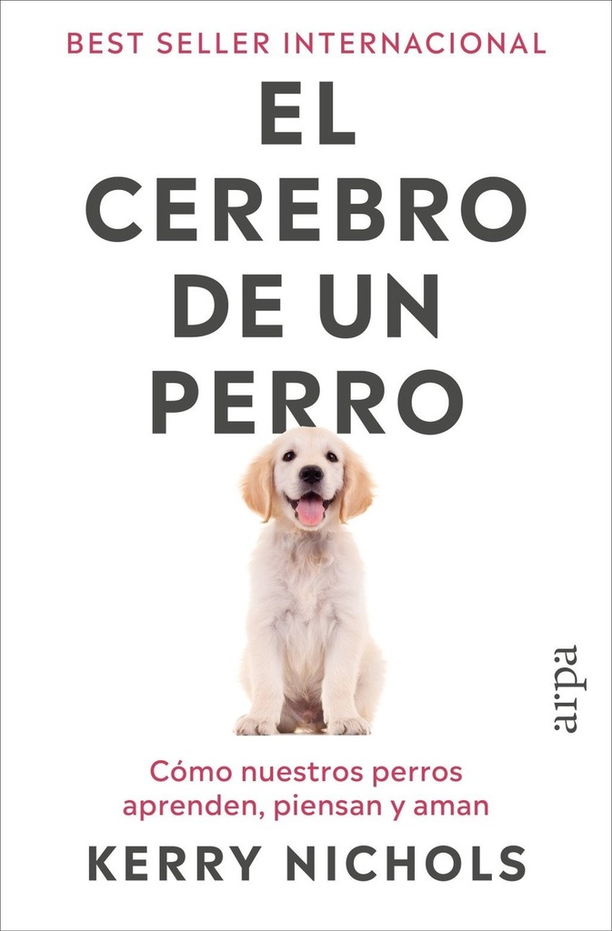 El cerebro de un perro
