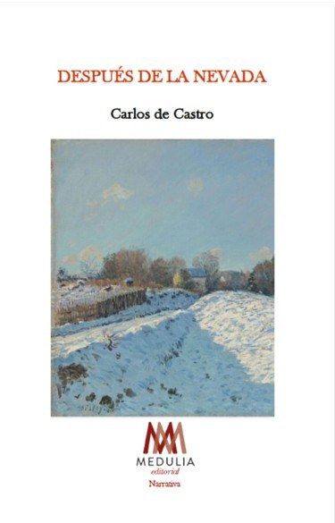 Después de la nevada