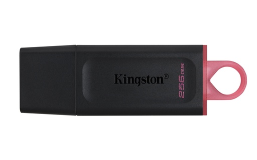 [DTX/256GB] DataTraveler Unidad Flash USB 3.2 Exodia
