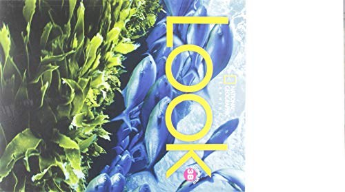 Look Level 3B Combo Book Split (BrE)