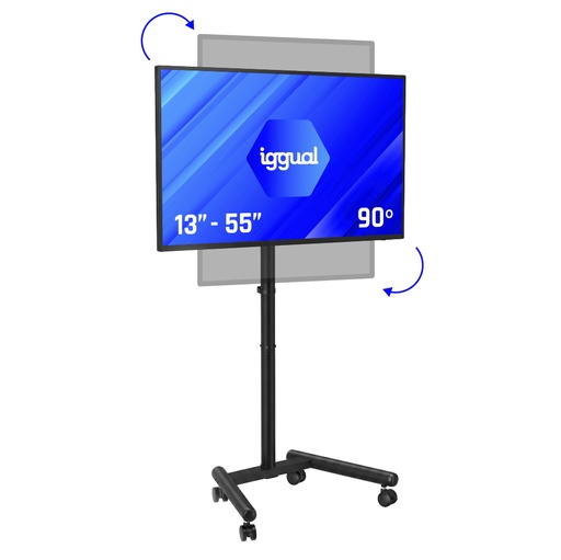 [IGG320884] SRTV55 139,7 cm (55") Negro