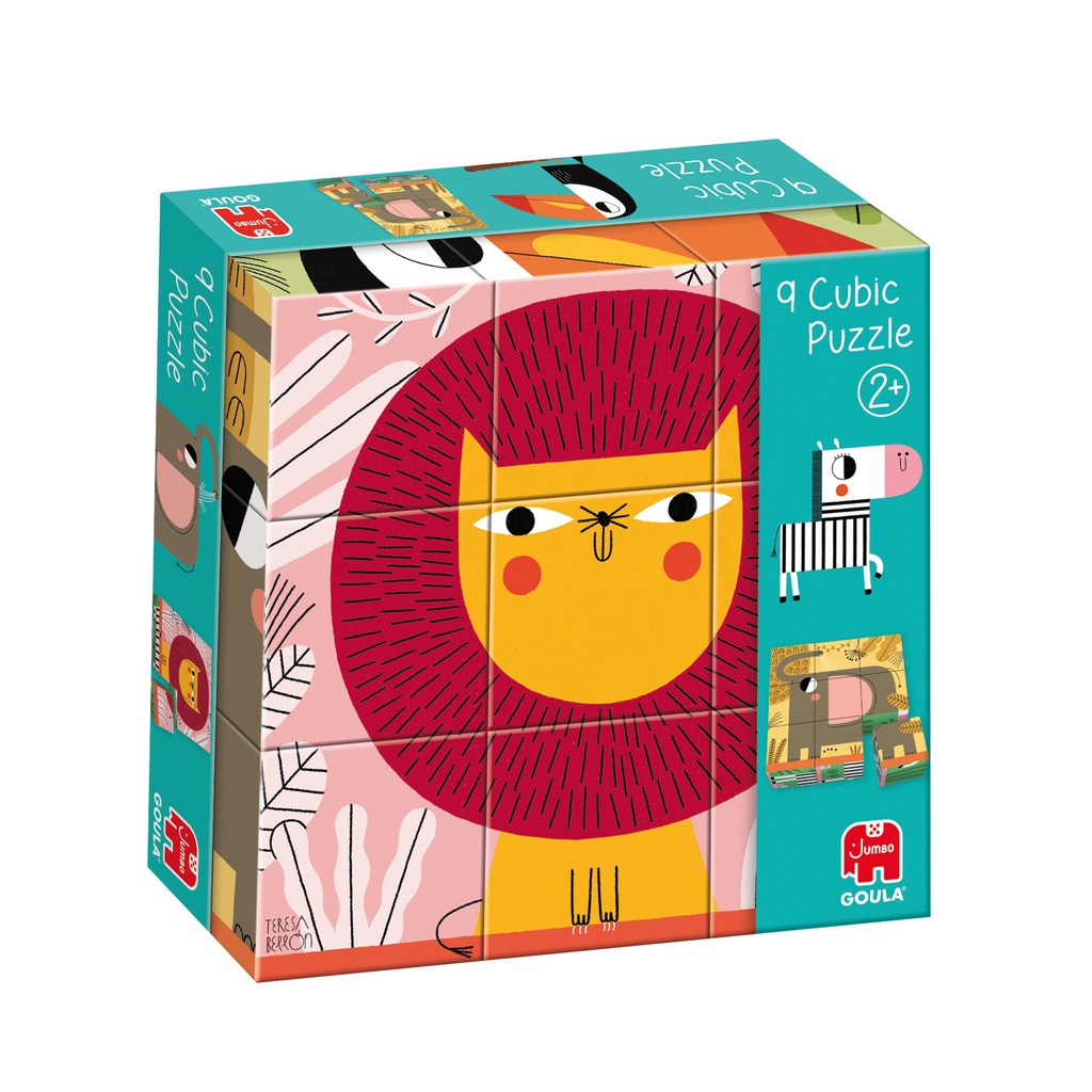 9 CUBIC PUZZLE