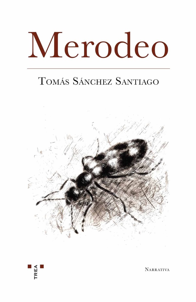 Merodeo