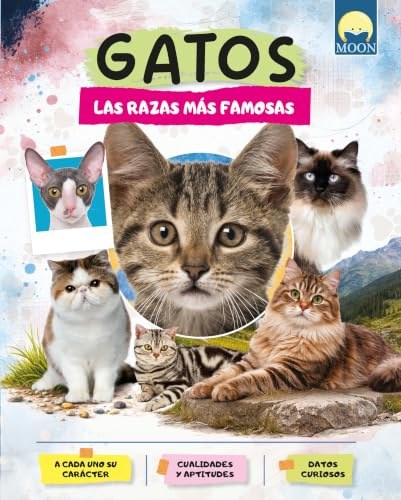 GATOS RAZAS MAS FAMOSAS