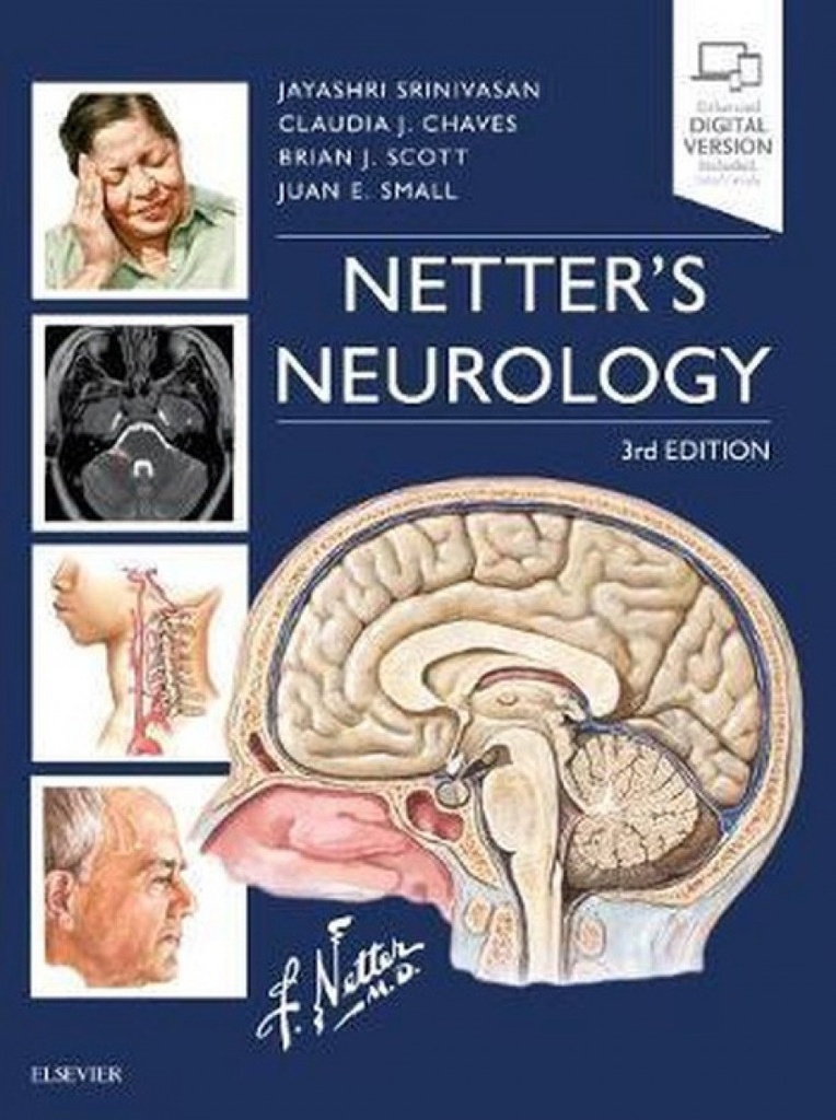 NETTER´S NEUROLOGY