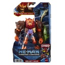 He-Man and the Masters of the Universe HDY36
