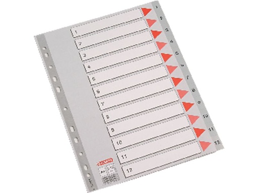 [49205] ESD IND PP FOL 1-12 CON CARAT GR 49205