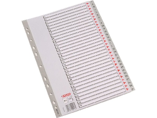 [49206] ESD IND PP FOL 1-31 CON CARAT GR 49206