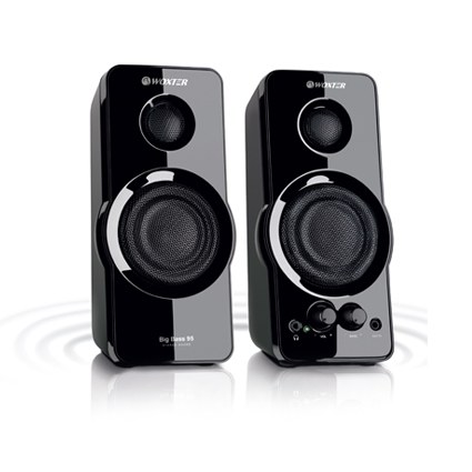 [SO26-031] Big Bass 95 De 2 vías Negro Alámbrico 20 W