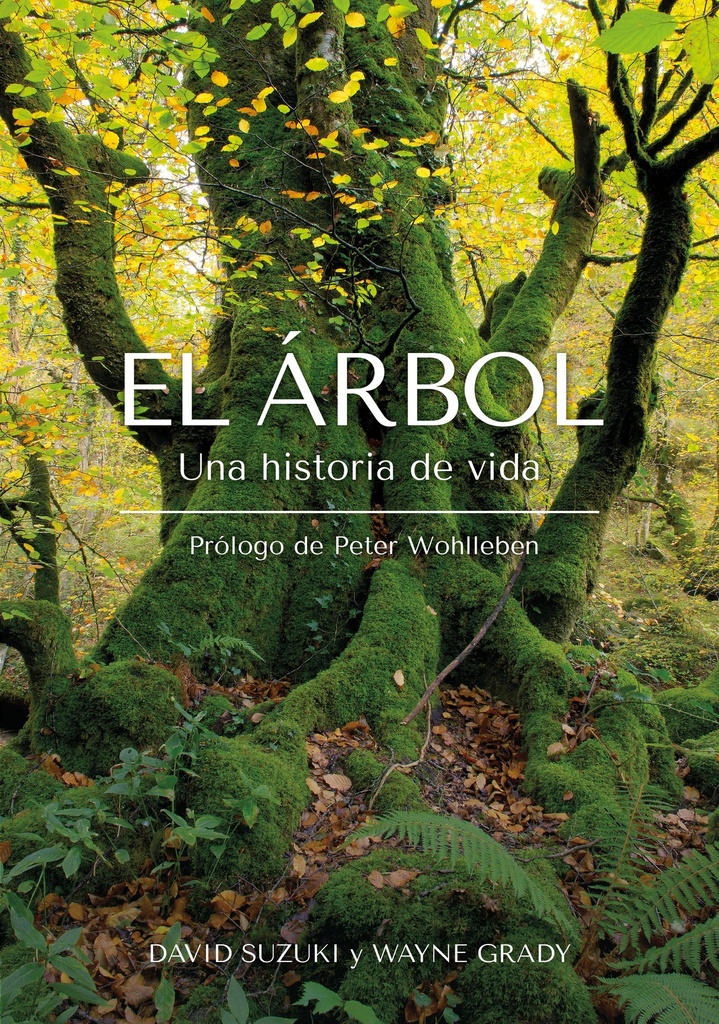 El Árbol
