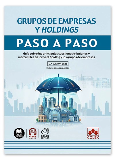 Grupos de empresas y holdings. Paso a paso