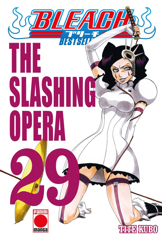 BLEACH BESTSELLER 29